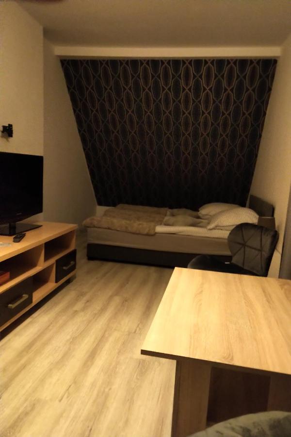 Willa Gorzow-Spokojna Okolica! Gorzow Wielkopolski Dış mekan fotoğraf