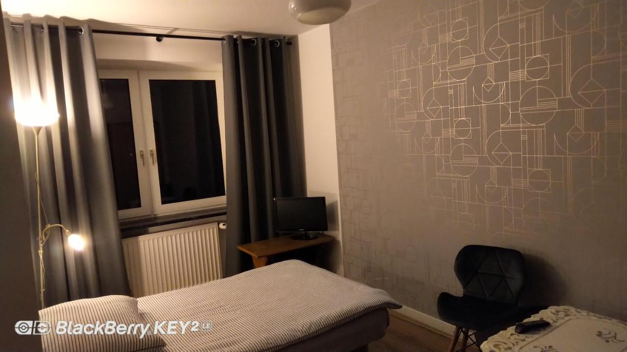 Willa Gorzow-Spokojna Okolica! Gorzow Wielkopolski Dış mekan fotoğraf