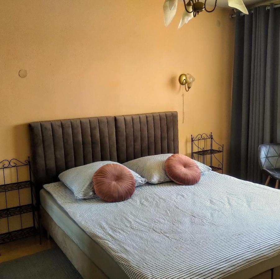 Willa Gorzow-Spokojna Okolica! Gorzow Wielkopolski Dış mekan fotoğraf